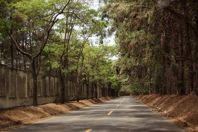 Road amidst trees in forest