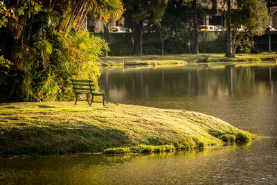 Scenic view of lake in park