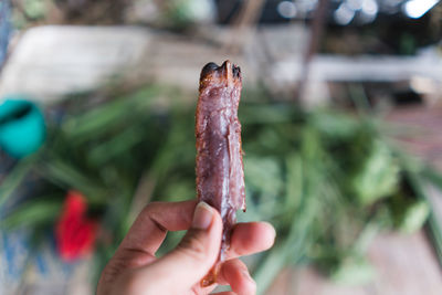 Close-up of hand holding thai dessert