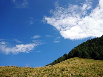 Low angle view of trees on land against blue sky