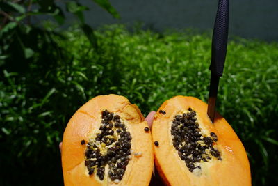 Close-up of orange fruit