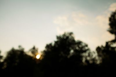 Low angle view of trees against sky at sunset