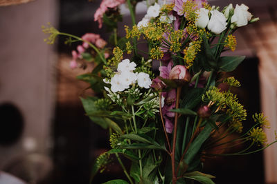 Close-up of pink flowering plant