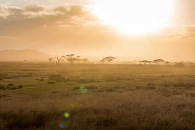 Scenic view of field against sky during sunset