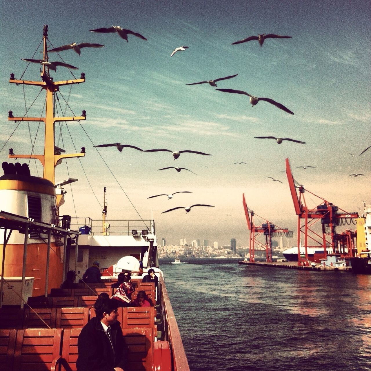 bird, flying, water, sea, sky, animals in the wild, transportation, nautical vessel, animal themes, wildlife, harbor, mode of transport, men, mast, silhouette, lifestyles, outdoors, boat