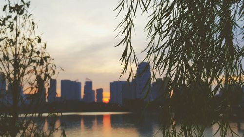 Buildings in city at sunset