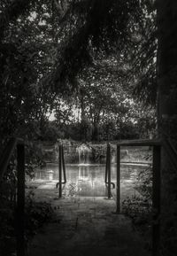 Scenic view of river