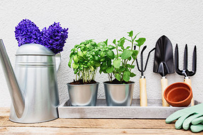 Close-up of potted plant on table