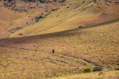 Man walking on field