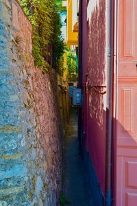 Walkway amidst buildings