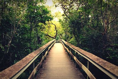 Footbridge in forest