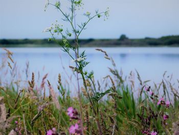 Scenic view of lake against sky