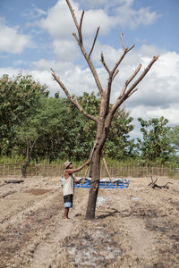 Man cutting bare tree against sky