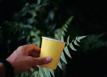 Close-up of hand holding disposable cup against plants