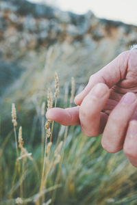 Close-up of hand holding plant on field