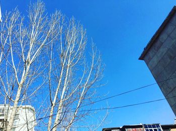 Low angle view of built structure against blue sky