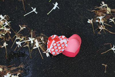 High angle view of heart shape on ground
