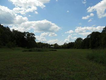 Scenic view of grassy field against sky