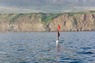 Rear view of man standing in lake