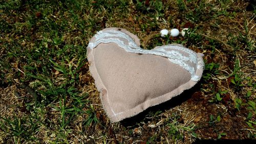 Close-up of heart shape grass