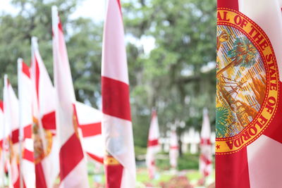 Close-up of florida state flags