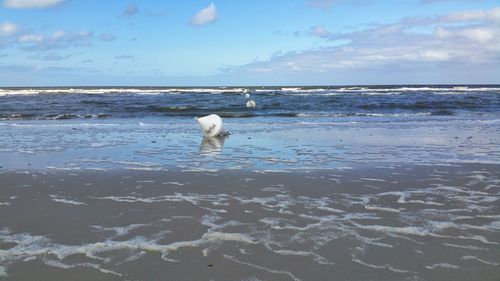 Buoy on beach against sky