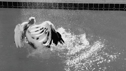 Close-up of person hand in water