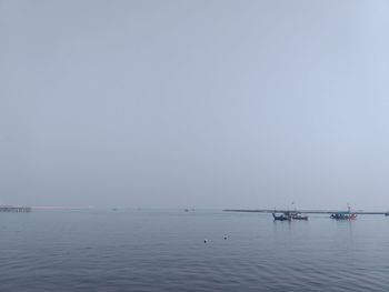 Sailboats in sea against clear sky