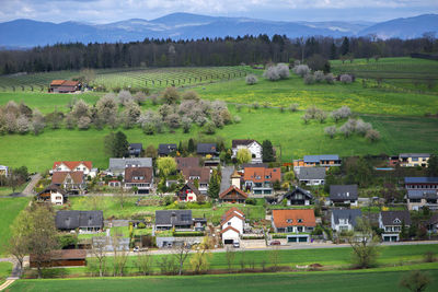 Scenic view of agricultural field by houses and trees