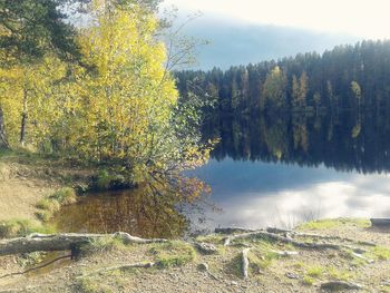 Scenic view of lake in forest against sky