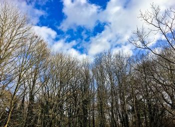 Low angle view of bare trees against cloudy sky