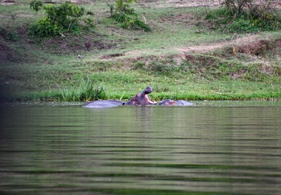 Side view of a boat in calm lake