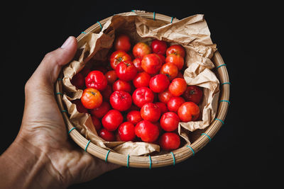 Cropped hand holding cherry tomatoes in basket