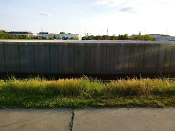 Plants and trees against sky