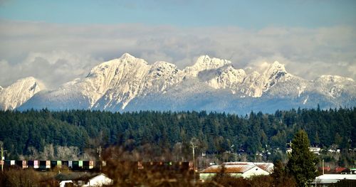 Panoramic view of trees and snowcapped mountains against sky