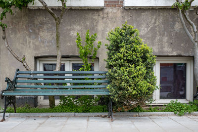 Empty bench by tree against building