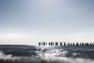 Birds on poles in the ocean at low angle