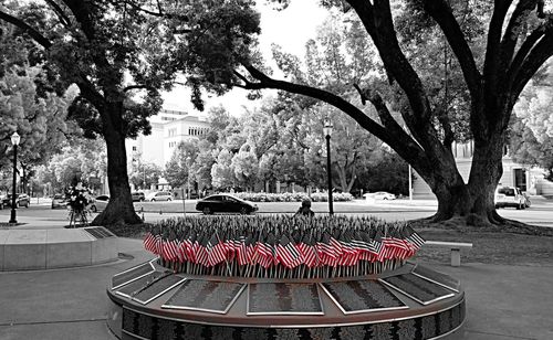 View of park bench in city