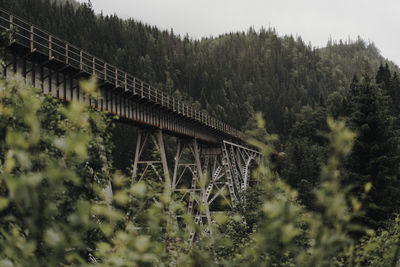 Panoramic shot of bridge over trees in forest against sky