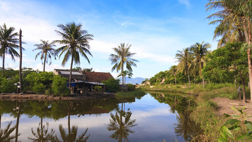 Reflection of palm trees and plants by building against sky
