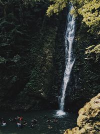 Scenic view of waterfall in forest