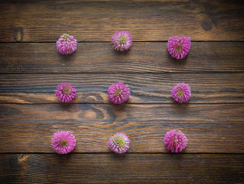 High angle view of pink flowers on wooden table