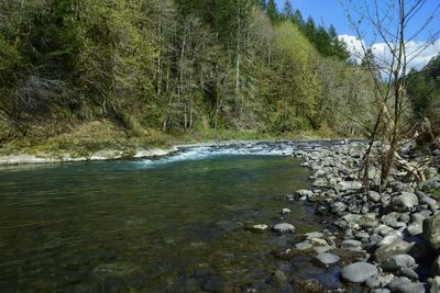 River flowing through rocks