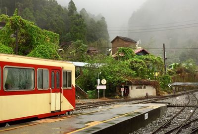 Train against trees