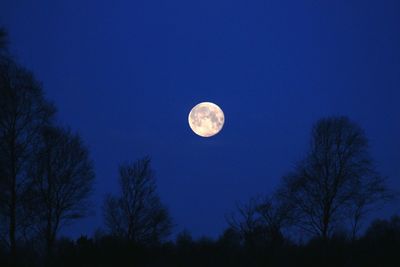 Low angle view of moon in sky at night