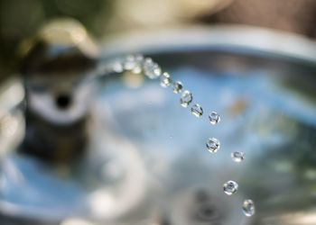 Close-up of water drops on leaf