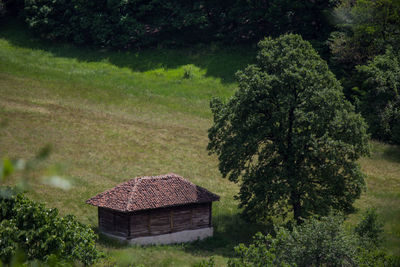 House and trees on landscape