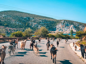 Group of people walking on road against clear sky