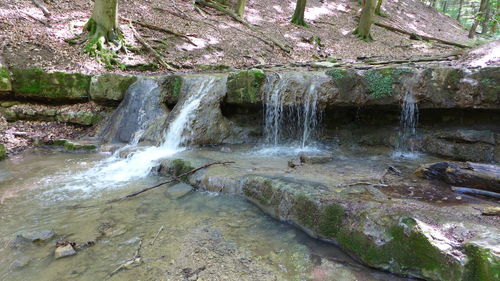 Close-up of waterfall against trees