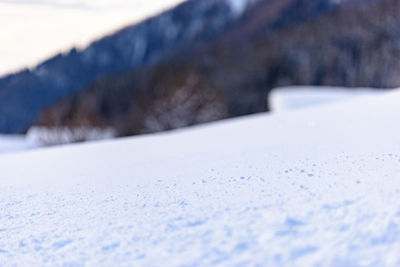 Close-up of snow on road